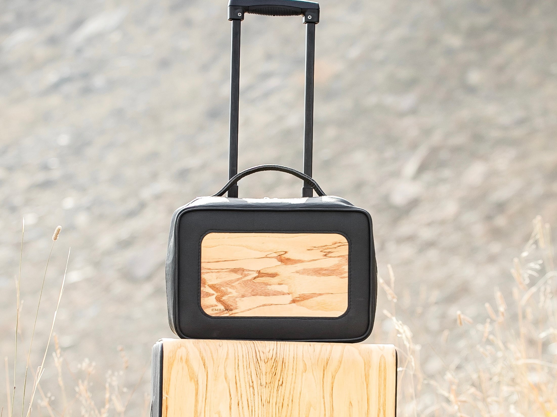 Beauty Case